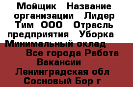 Мойщик › Название организации ­ Лидер Тим, ООО › Отрасль предприятия ­ Уборка › Минимальный оклад ­ 15 300 - Все города Работа » Вакансии   . Ленинградская обл.,Сосновый Бор г.